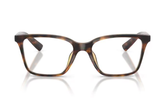 ARMANI EXCHANGE AX3146U 8213