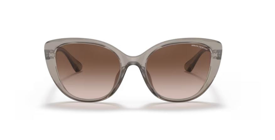 ARMANI EXCHANGE AX4111SU 824013 - Transparent tundra