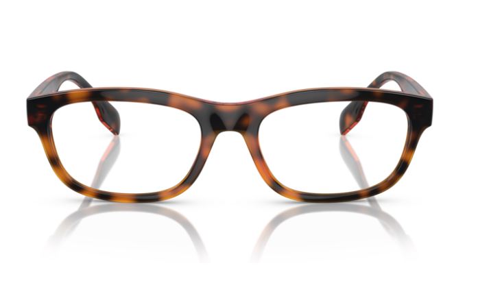 BURBERRY BE2385U 3002