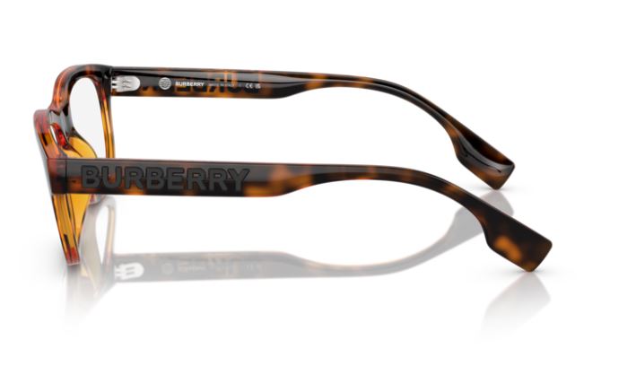 BURBERRY BE2385U 3002