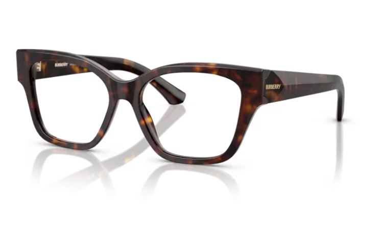 BURBERRY BE2420 3002
