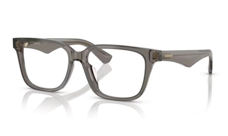 BURBERRY BE2425D 4242