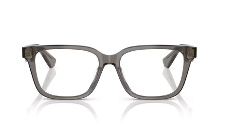 BURBERRY BE2425D 4242