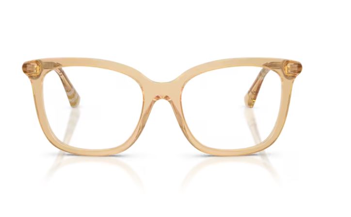 BURBERRY BE2430 4167