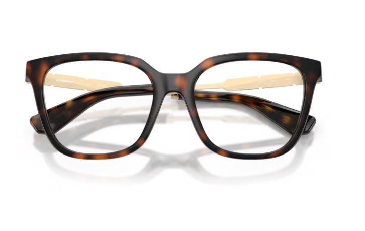 BURBERRY BE2441U 3002