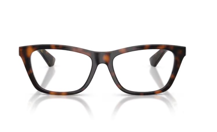 BURBERRY BE2442U 3002