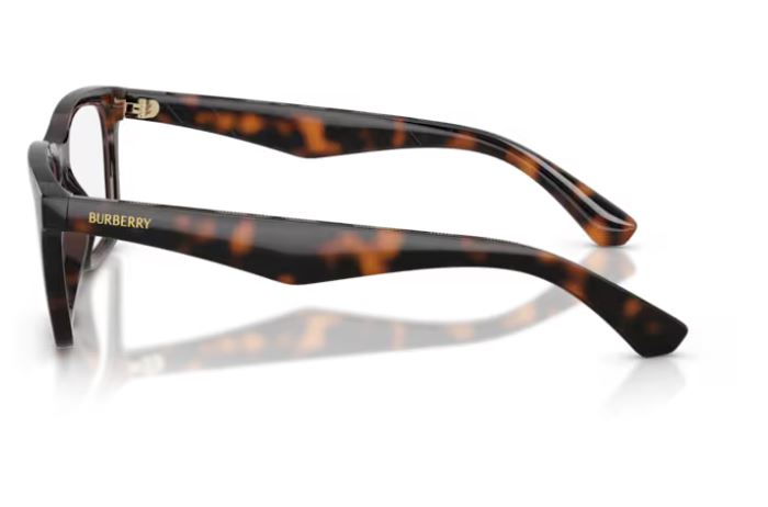 BURBERRY BE2446U 3002