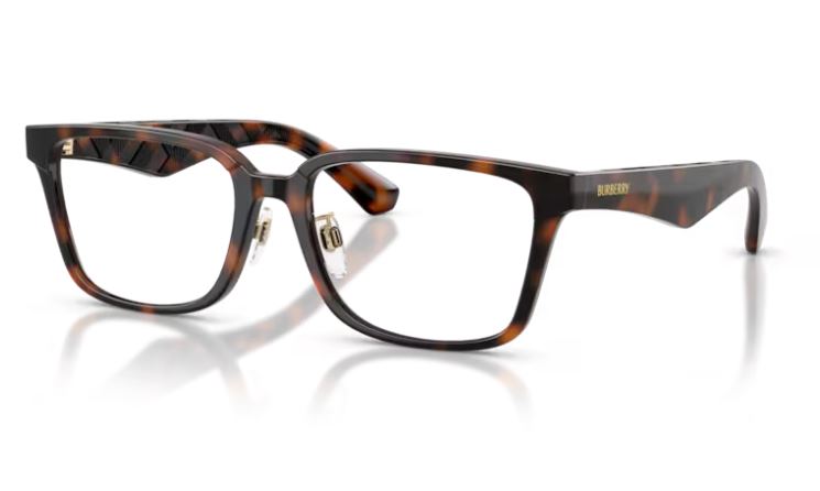 BURBERRY BE2450D 3002