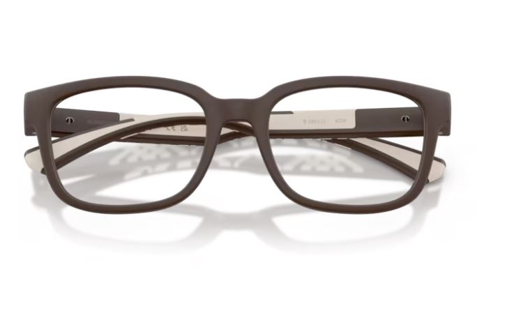BURBERRY BE2451U 4234