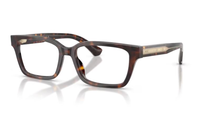 BURBERRY BE2453 4205