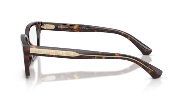 BURBERRY BE2453 4205