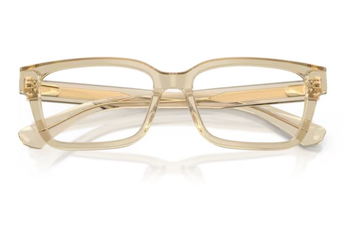 BURBERRY BE2453 4226