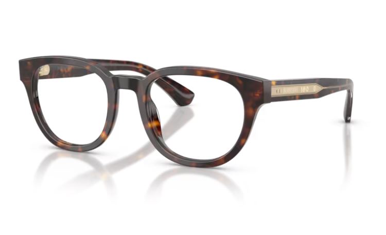 BURBERRY BE2454 4205