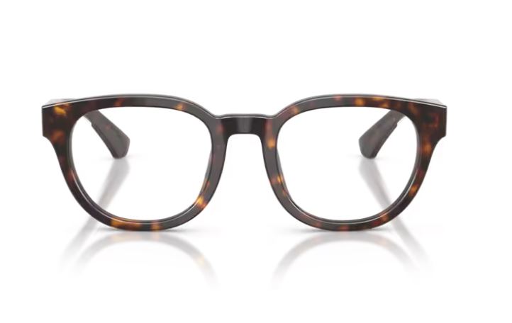 BURBERRY BE2454 4205