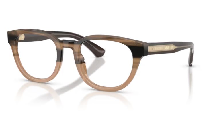 BURBERRY BE2454 4207
