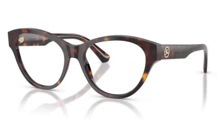 BURBERRY BE2458 3002