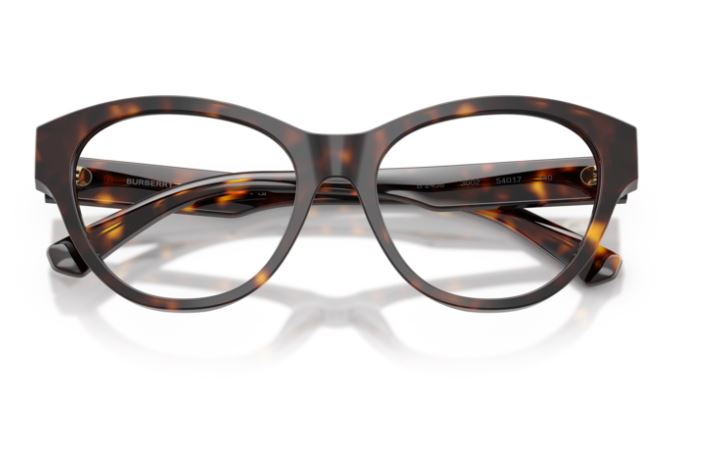 BURBERRY BE2458 3002