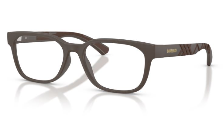 BURBERRY BE2460D 4234