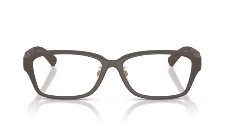 BURBERRY BE2461D 4234