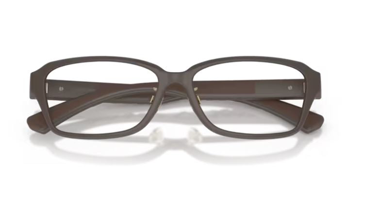 BURBERRY BE2461D 4234