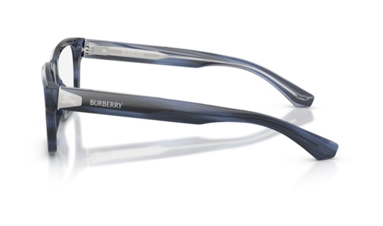 BURBERRY BE2469 4255