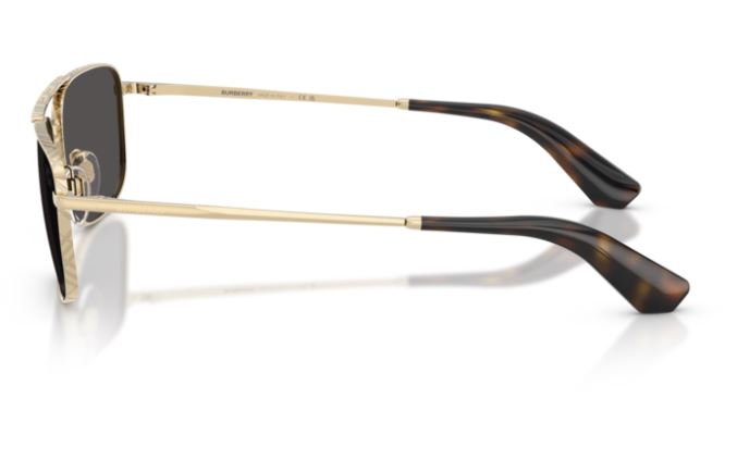 BURBERRY BE3170 110987