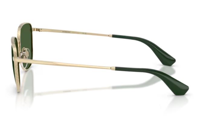 BURBERRY BE3171 110971