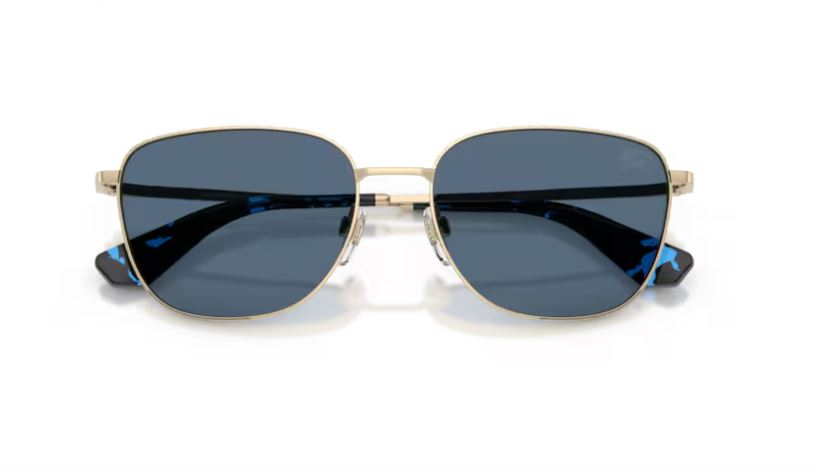 BURBERRY BE3171 110980