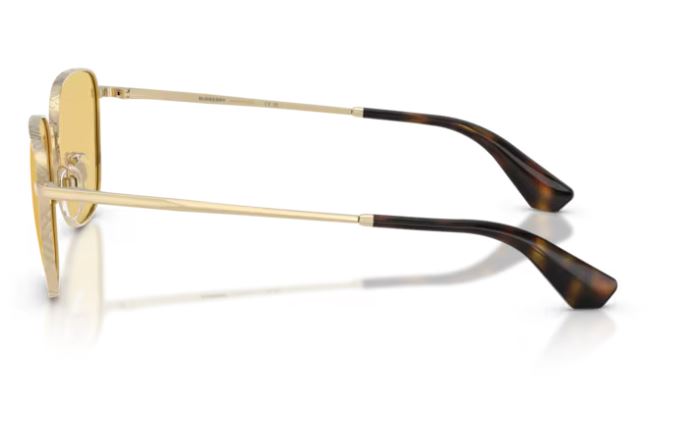 BURBERRY BE3171 110985