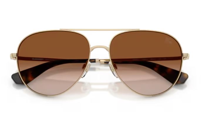 BURBERRY BE3172 110913