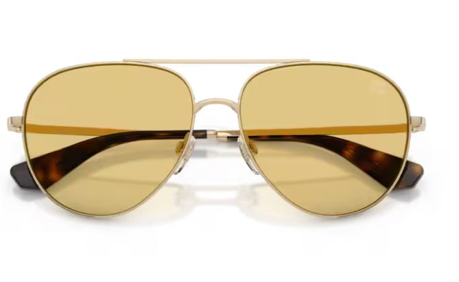 BURBERRY BE3172 110985