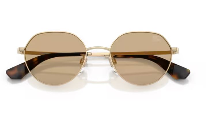 BURBERRY BE3173D 110973