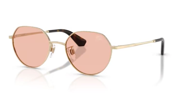 BURBERRY BE3173D 110984