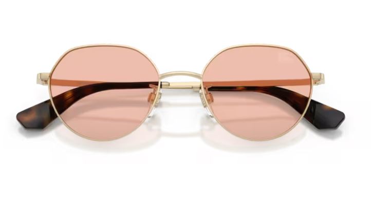 BURBERRY BE3173D 110984