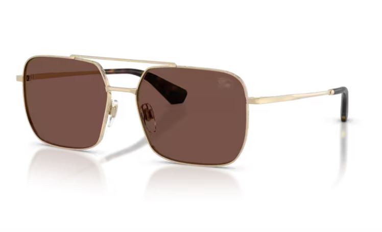 BURBERRY BE3179 110973