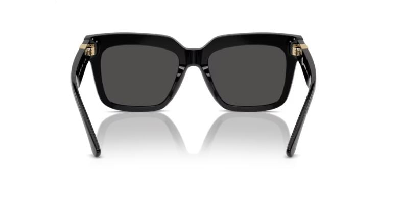 BURBERRY BE4419 300187 Black