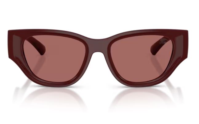 BURBERRY BE4467U 411969