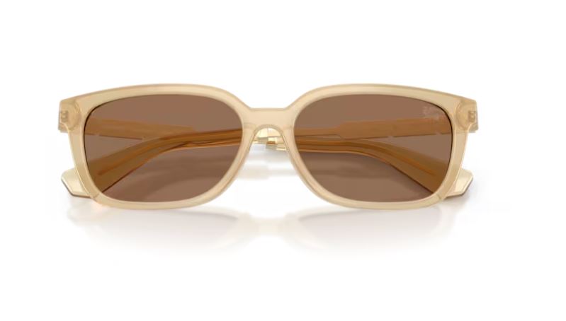 BURBERRY BE4481D 419873
