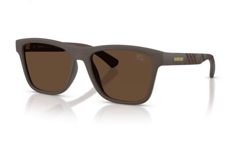BURBERRY BE4482U 423473