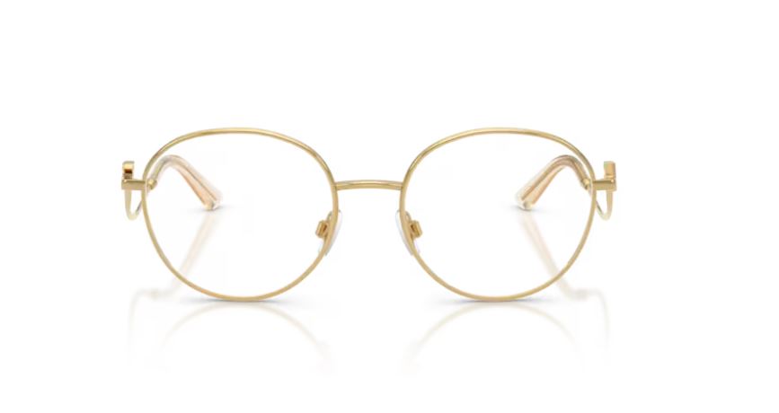 DOLCE & GABBANA DG1365 02