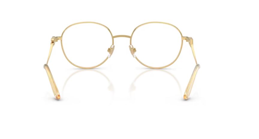 DOLCE & GABBANA DG1365 02