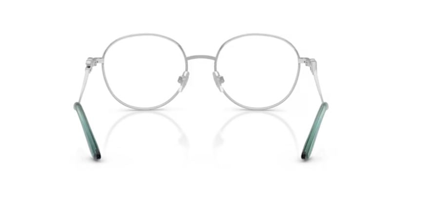 DOLCE & GABBANA DG1365 1325