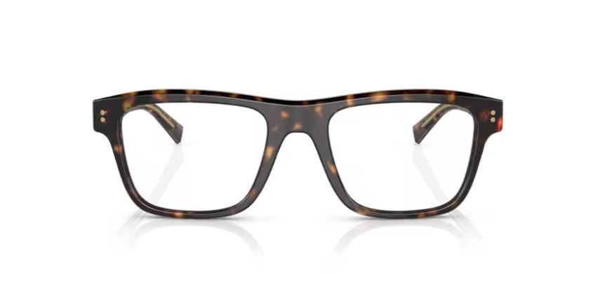 DOLCE & GABBANA DG3362 502 - Havana