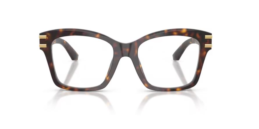 DOLCE & GABBANA DG3419 502 - Havana