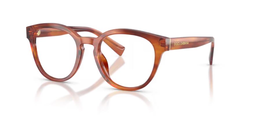 DOLCE & GABBANA DG3421 3221 - Striped ginger