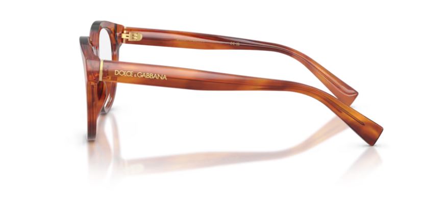 DOLCE & GABBANA DG3421 3221 - Striped ginger