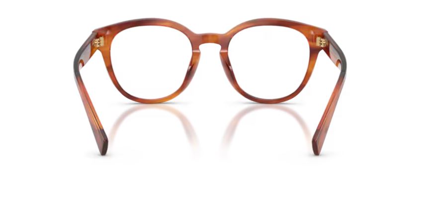 DOLCE & GABBANA DG3421 3221 - Striped ginger