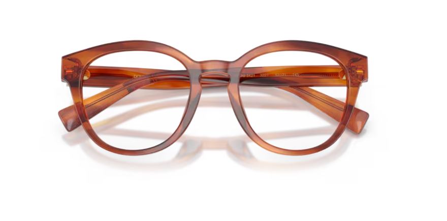 DOLCE & GABBANA DG3421 3221 - Striped ginger