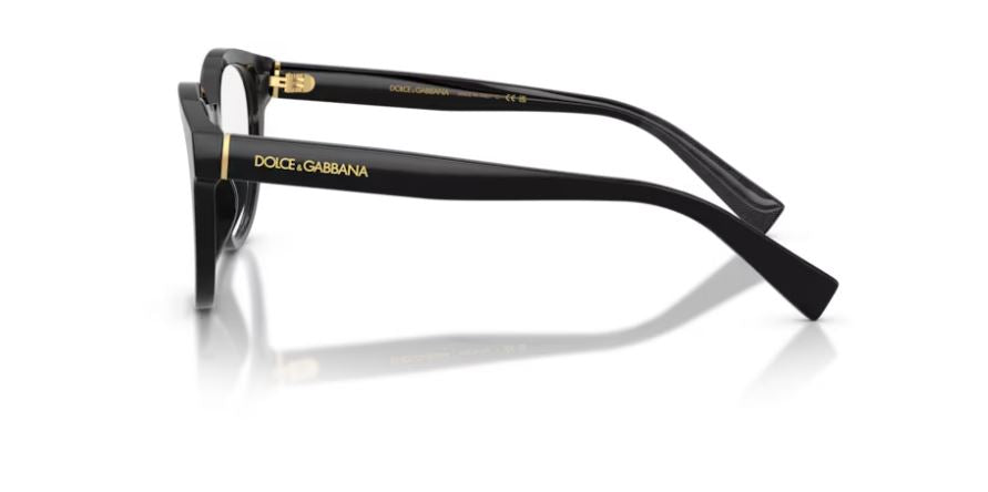 DOLCE & GABBANA DG3421 501 - Black