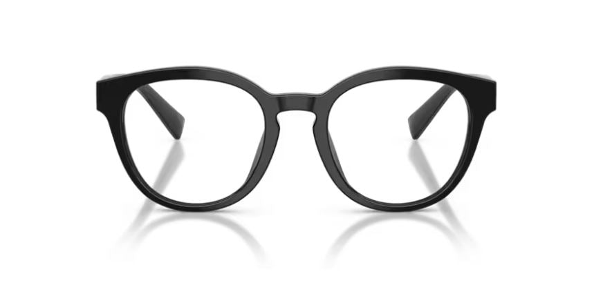 DOLCE & GABBANA DG3421 501 - Black